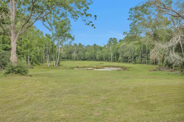 a view of a outdoor space with trees