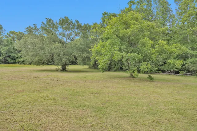 a view of a forest with a yard