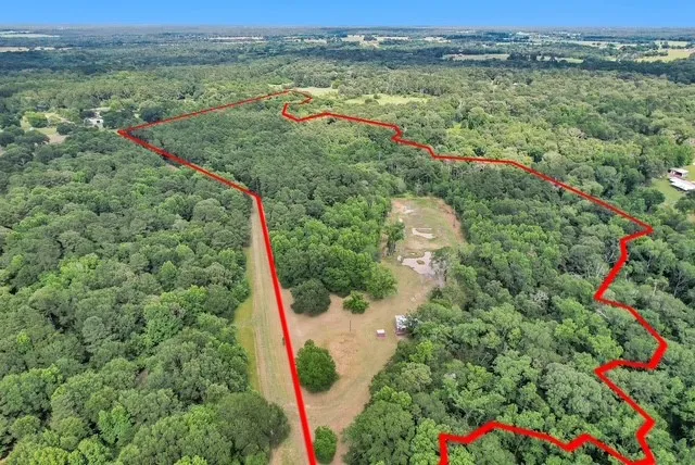 a view of a field with an trees