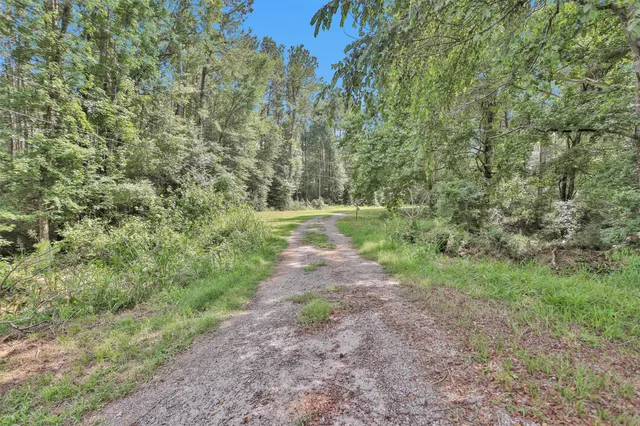a view of a field with trees