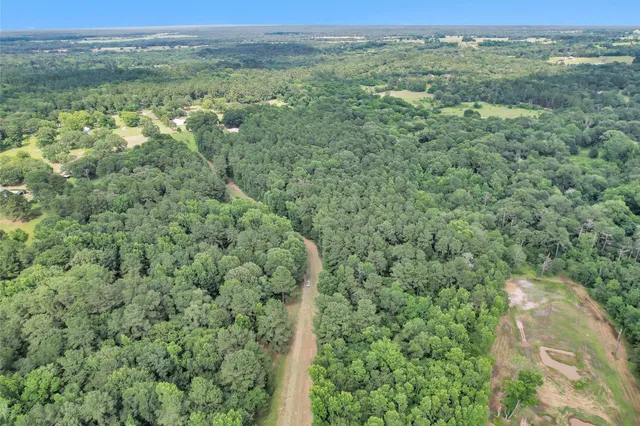 a view of a lush green forest with trees and houses