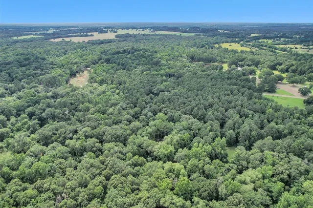 an aerial view of a houses with a yard