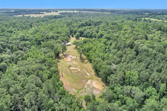 $409,000 | 7469 Pr 1190 Leona Tx 75850, Leona, TX 75850