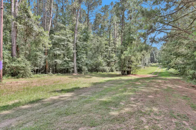 a view of a yard with swimming pool