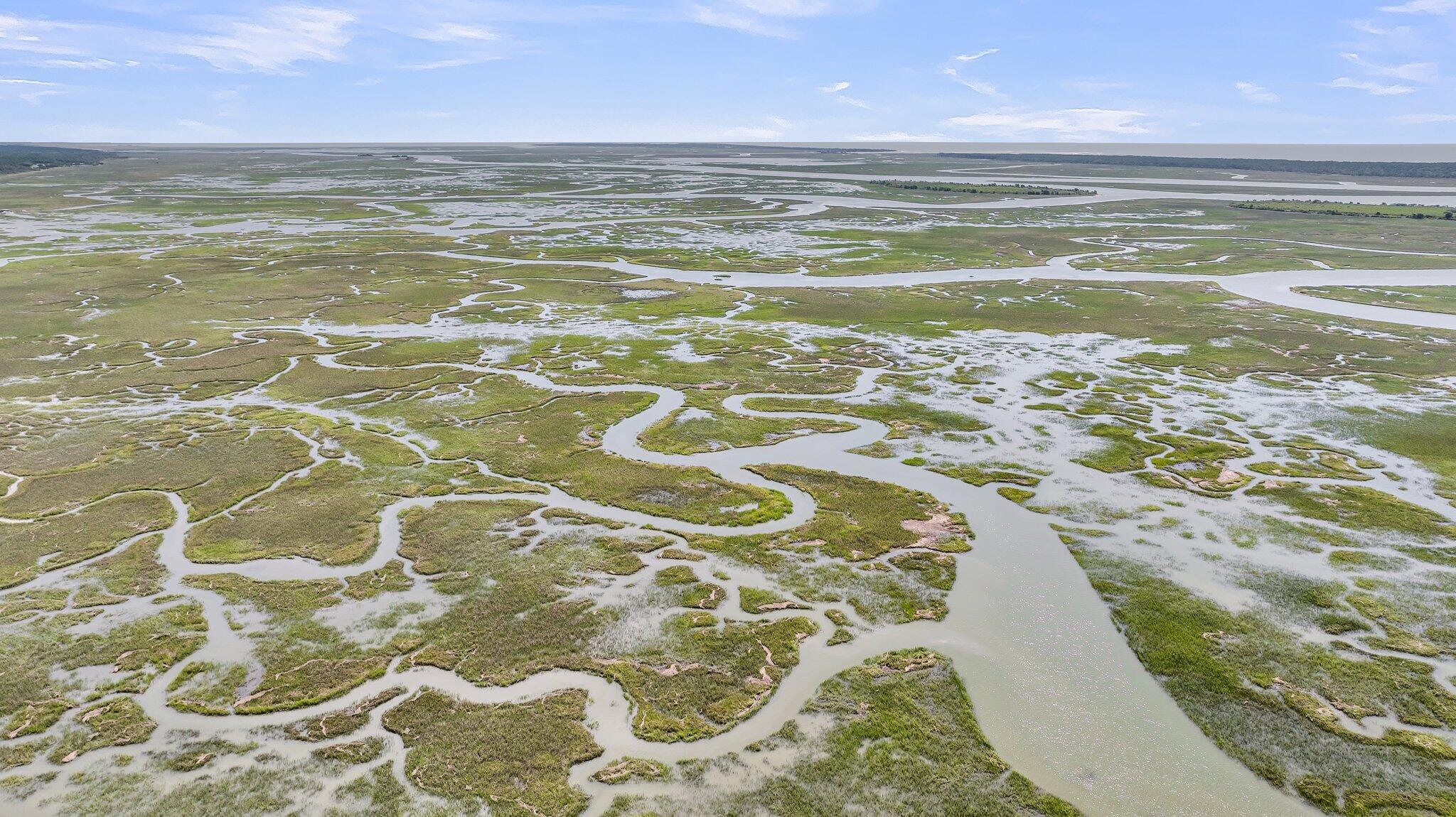 1014 Capersview Court Awendaw, SC 29429 - Photo 39 of 40 CREM - 1056 Capersview + Aerials-14