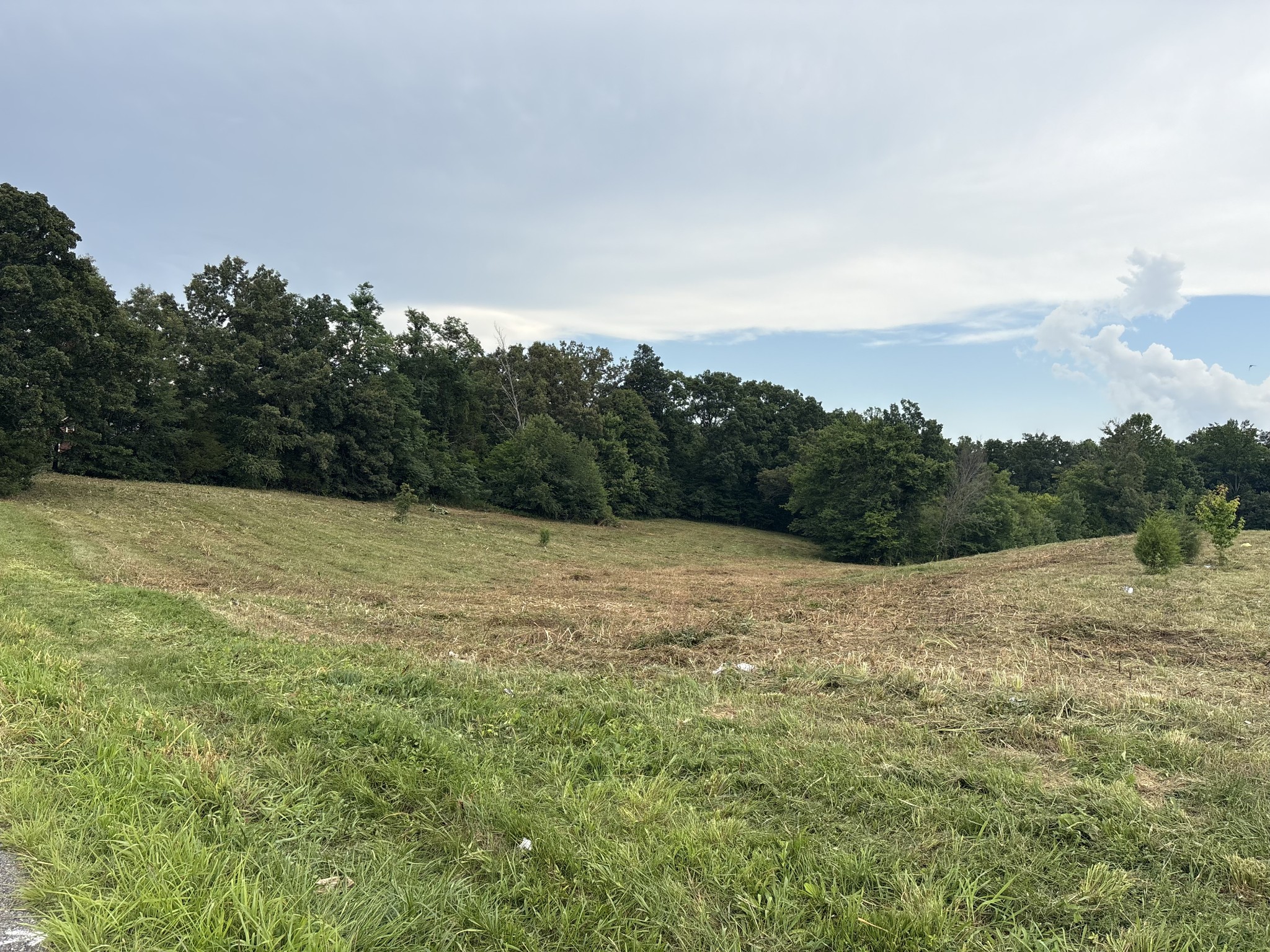 210 Nubia Road Westmoreland, TN 37186 - Photo 4 of 7
