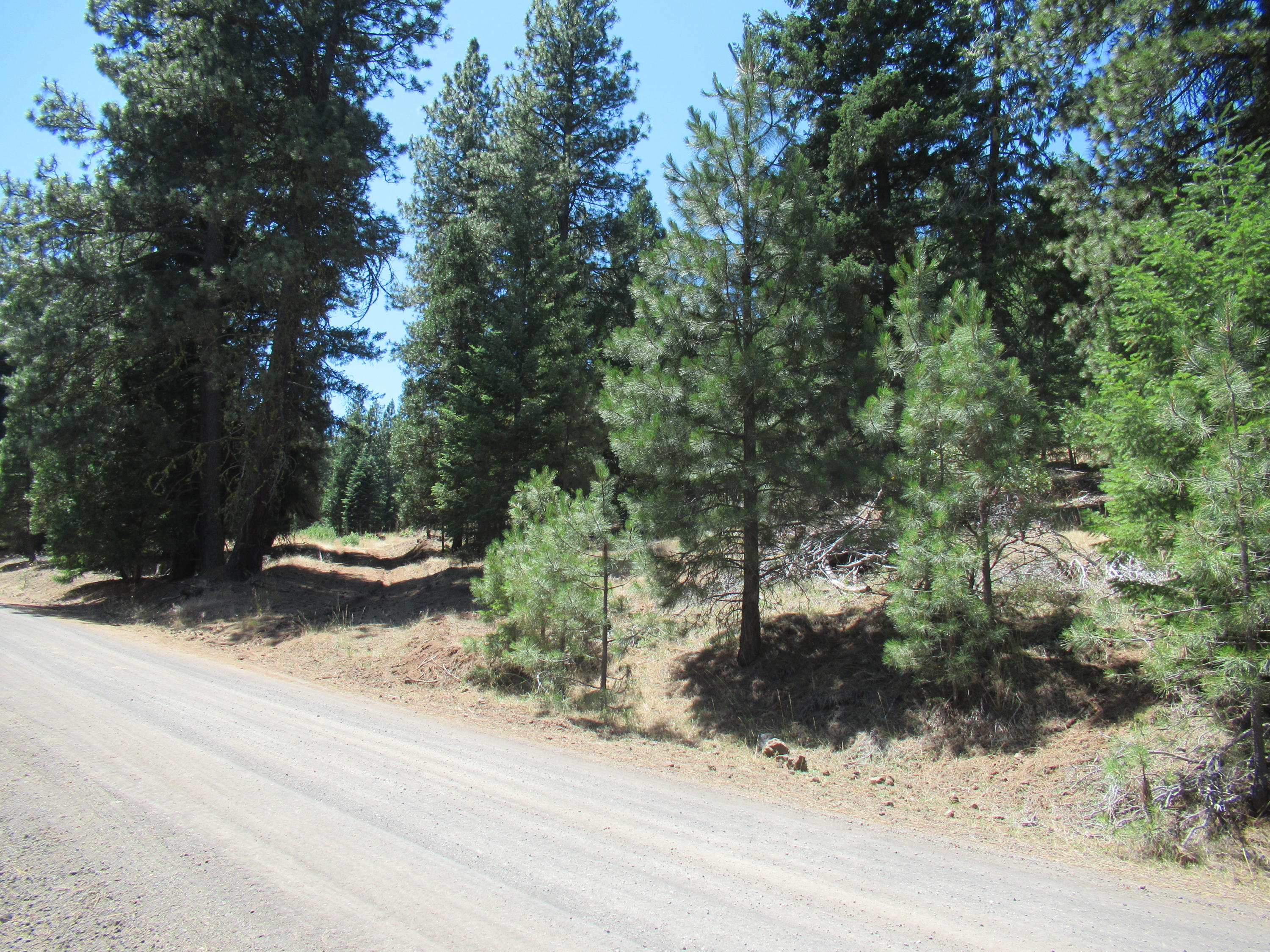Christopher Road Keno, OR 97627 - Photo 1 of 14 Lot #1 Looking up Drive Way