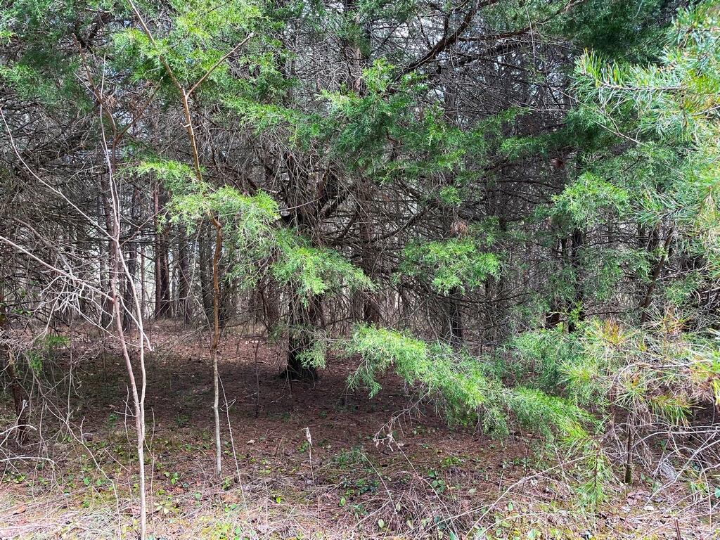 845 East Stage Coach Road, Unit 3 Greeneville, TN 37743 - Photo 13 of 15 13