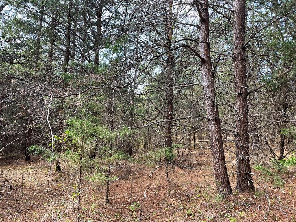 845 East Stage Coach Road, Unit 3 Greeneville, TN 37743 - Photo 14 of 15 14