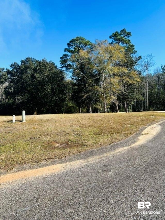 0 North Branson Drive Mobile, AL 36695 - Photo 4 of 20 View of road