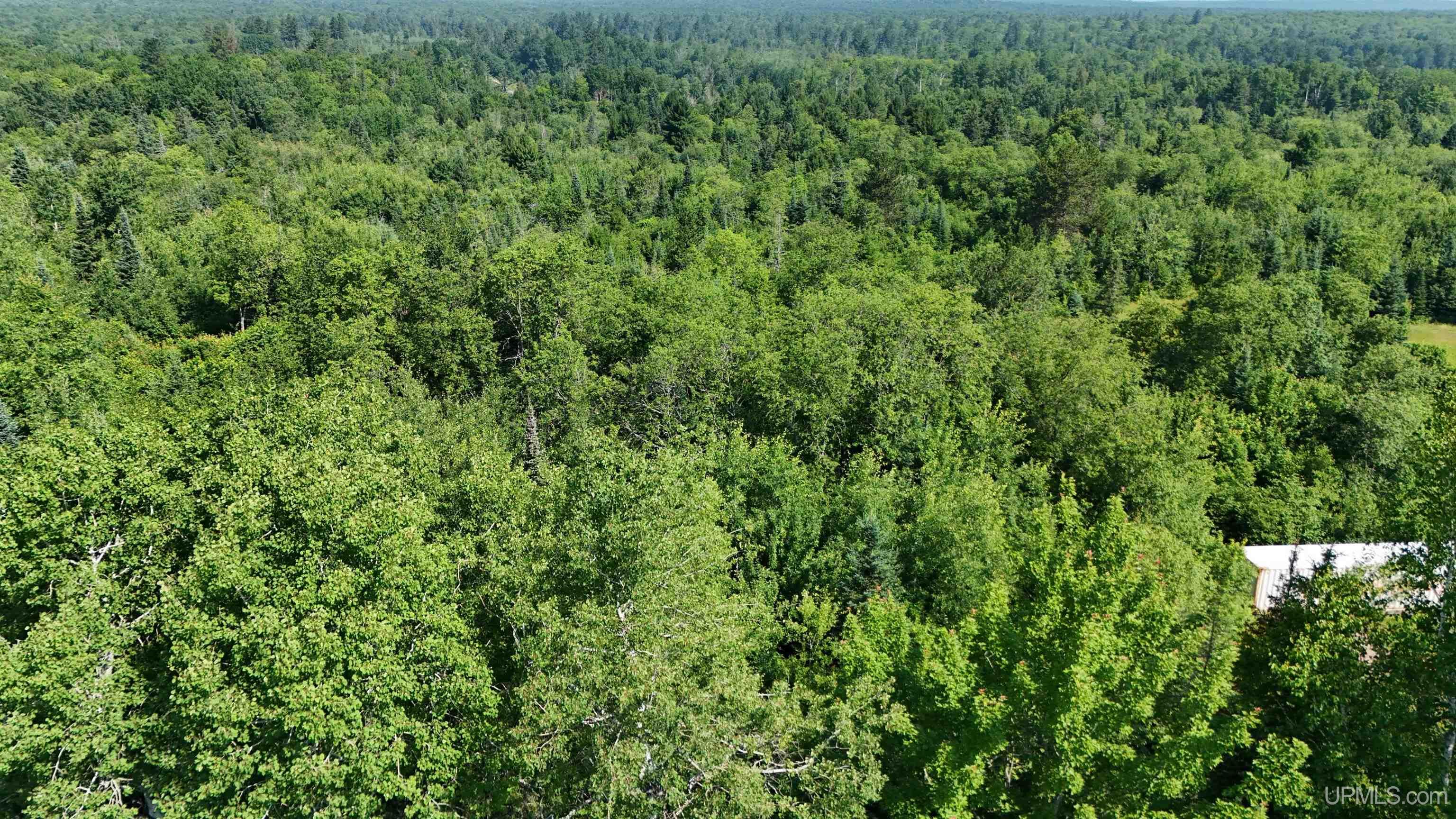 9692 North Laird Road Pelkie, MI 49958 - Photo 26 of 44