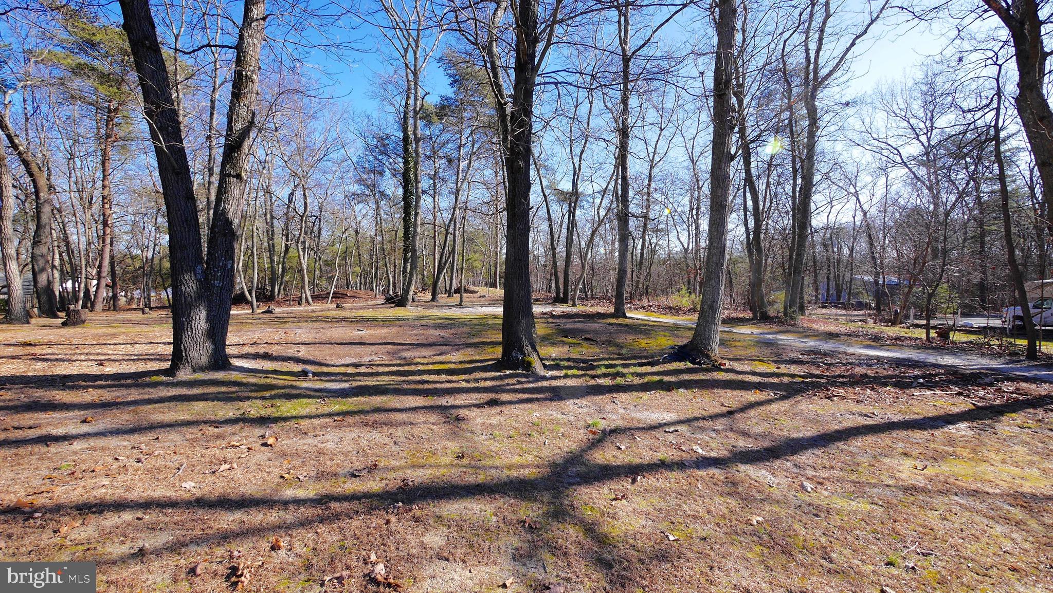 820 Old Indian Mills Road Tabernacle, NJ 08088 - Photo 55 of 66 Gallery Image 55