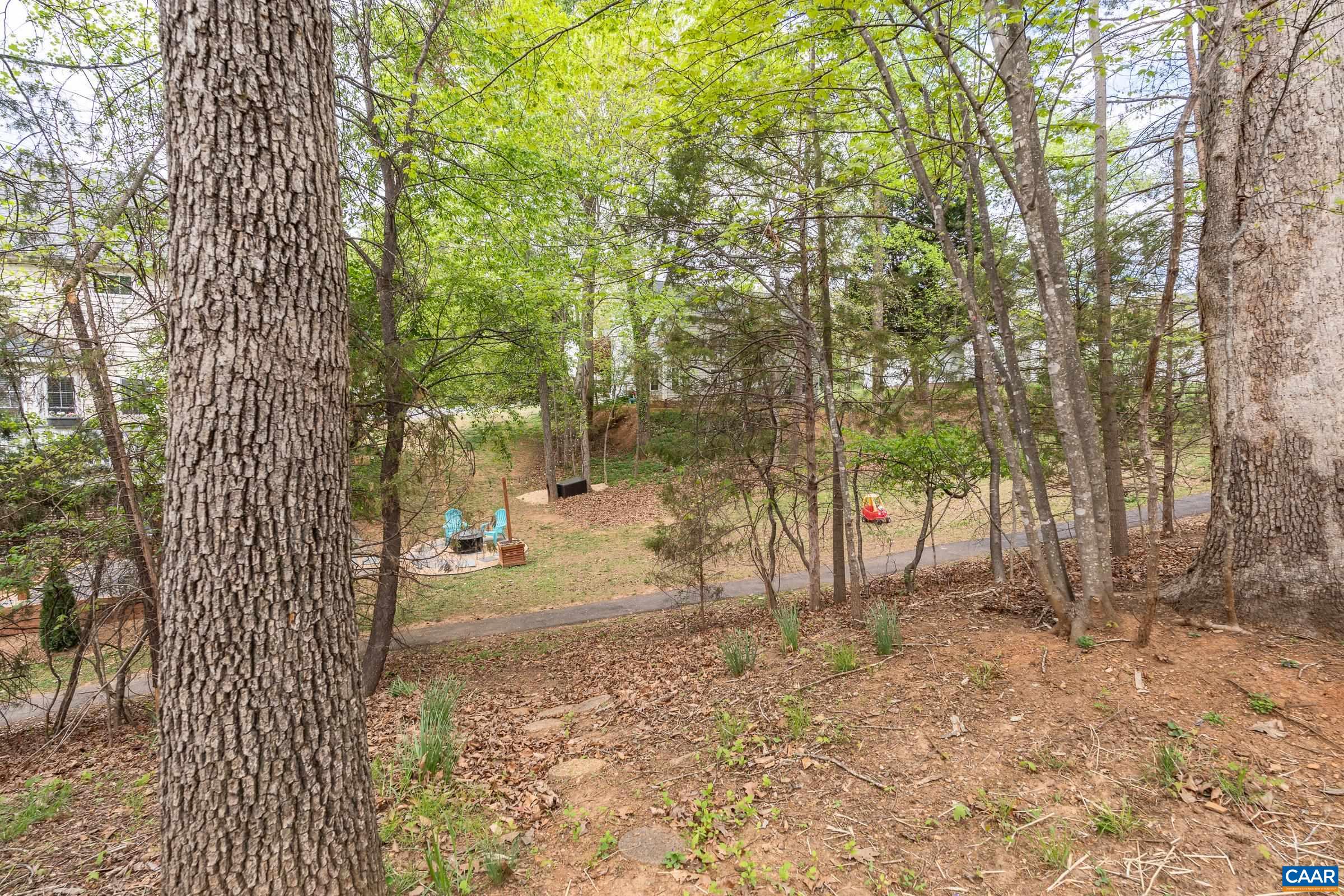 2492 Indian Laurel Road Charlottesville, VA 22911 - Photo 40 of 40