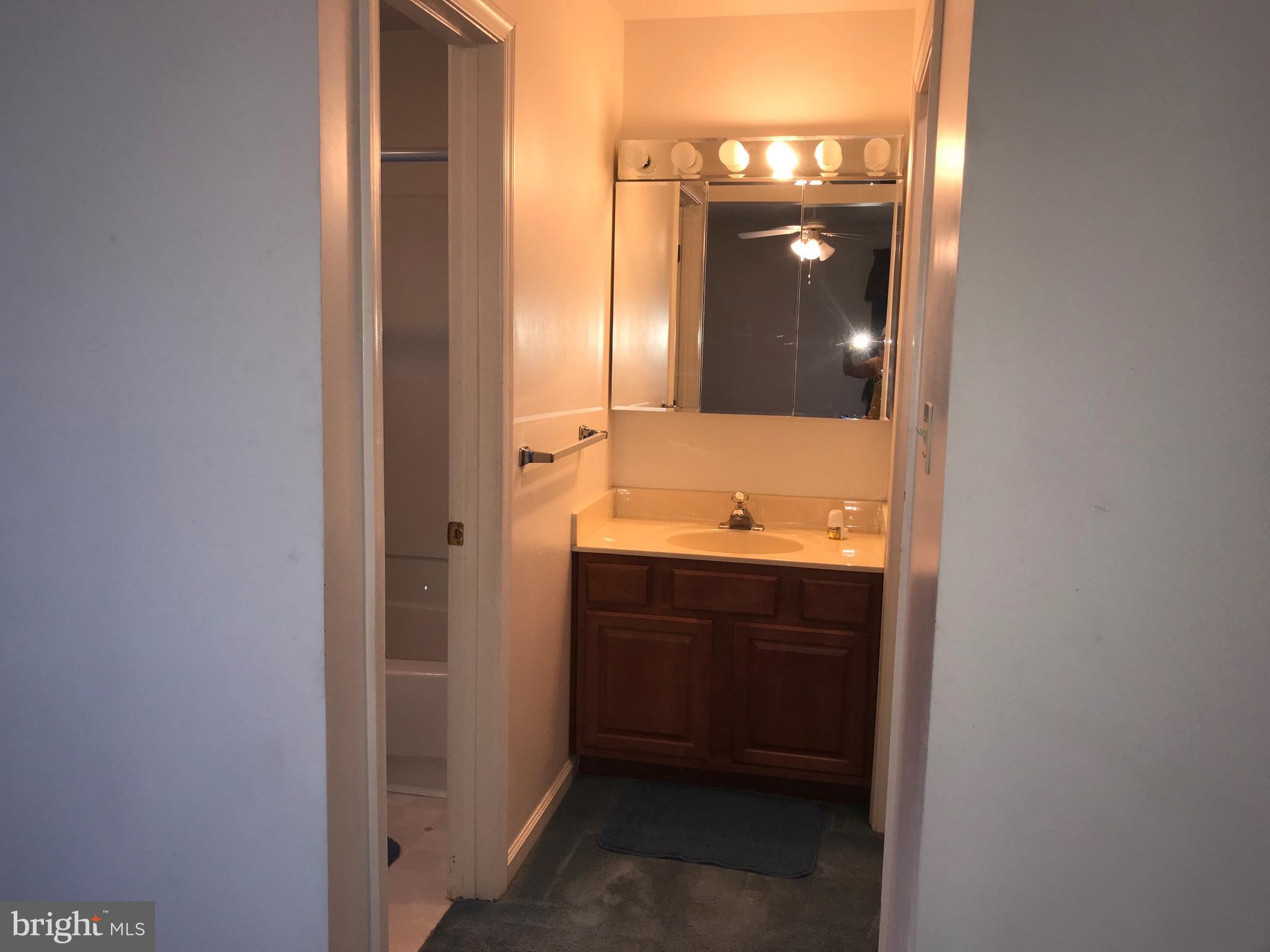 520 Klines Mill Road Middletown, VA 22645 - Photo 16 of 30 MASTER BATH OFFERS SEP VANITY AREA OUTSIDE BATH!!