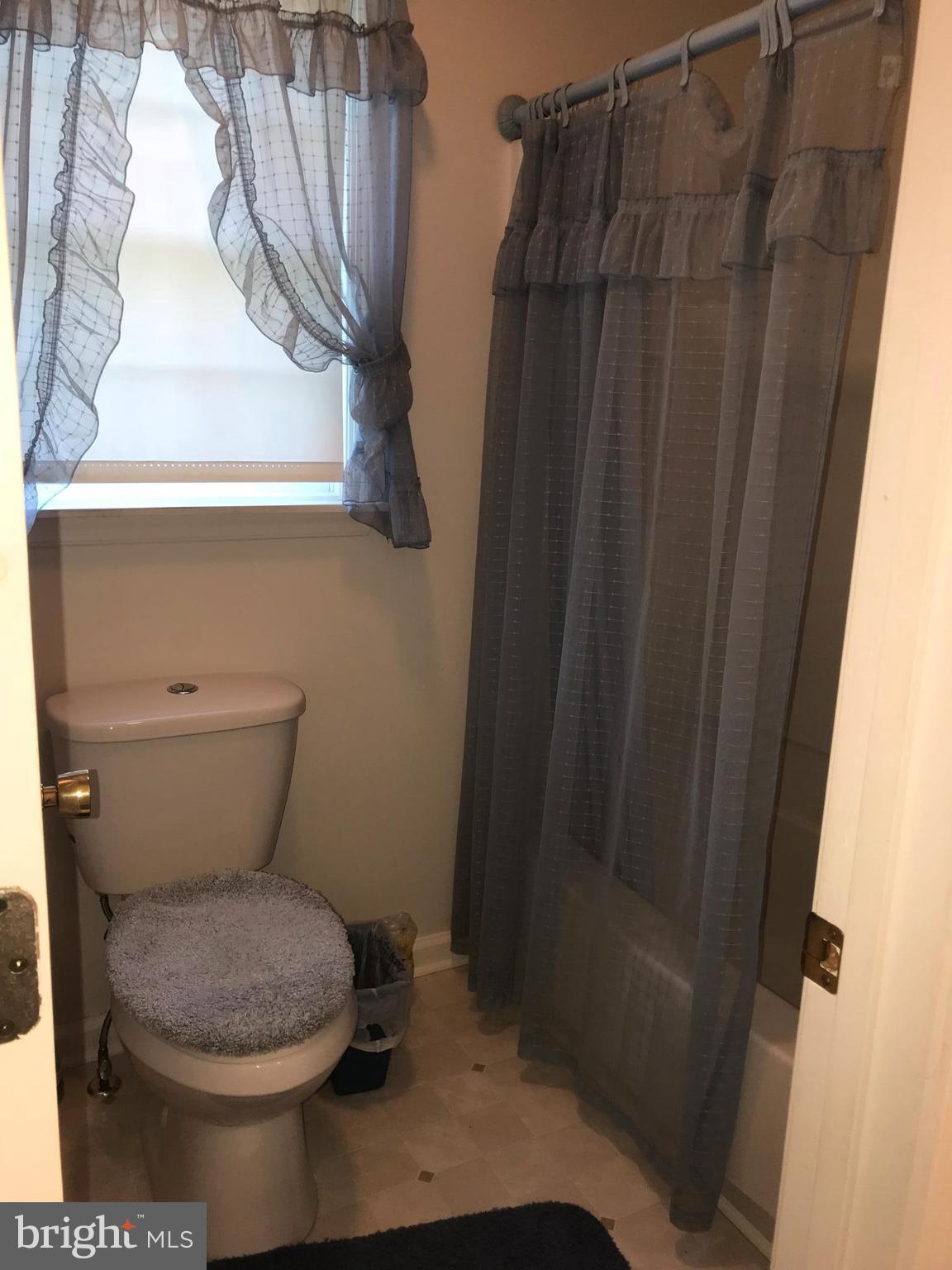 520 Klines Mill Road Middletown, VA 22645 - Photo 17 of 30 MASTER FULL BATH TUB SHOWER COMBO!