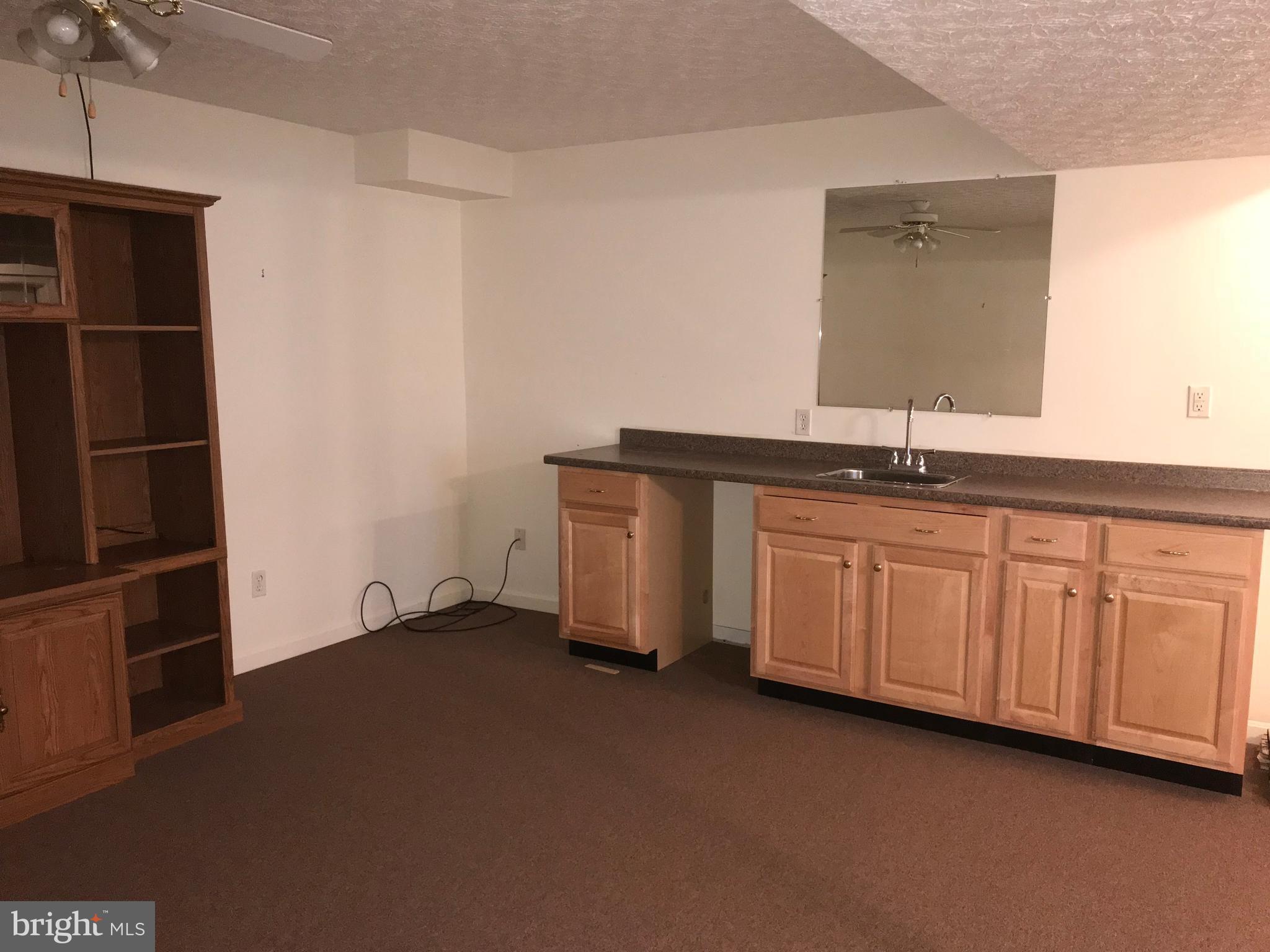 520 Klines Mill Road Middletown, VA 22645 - Photo 21 of 30 AWESOME WET BAR IN REC RM IN BASEMENT!!