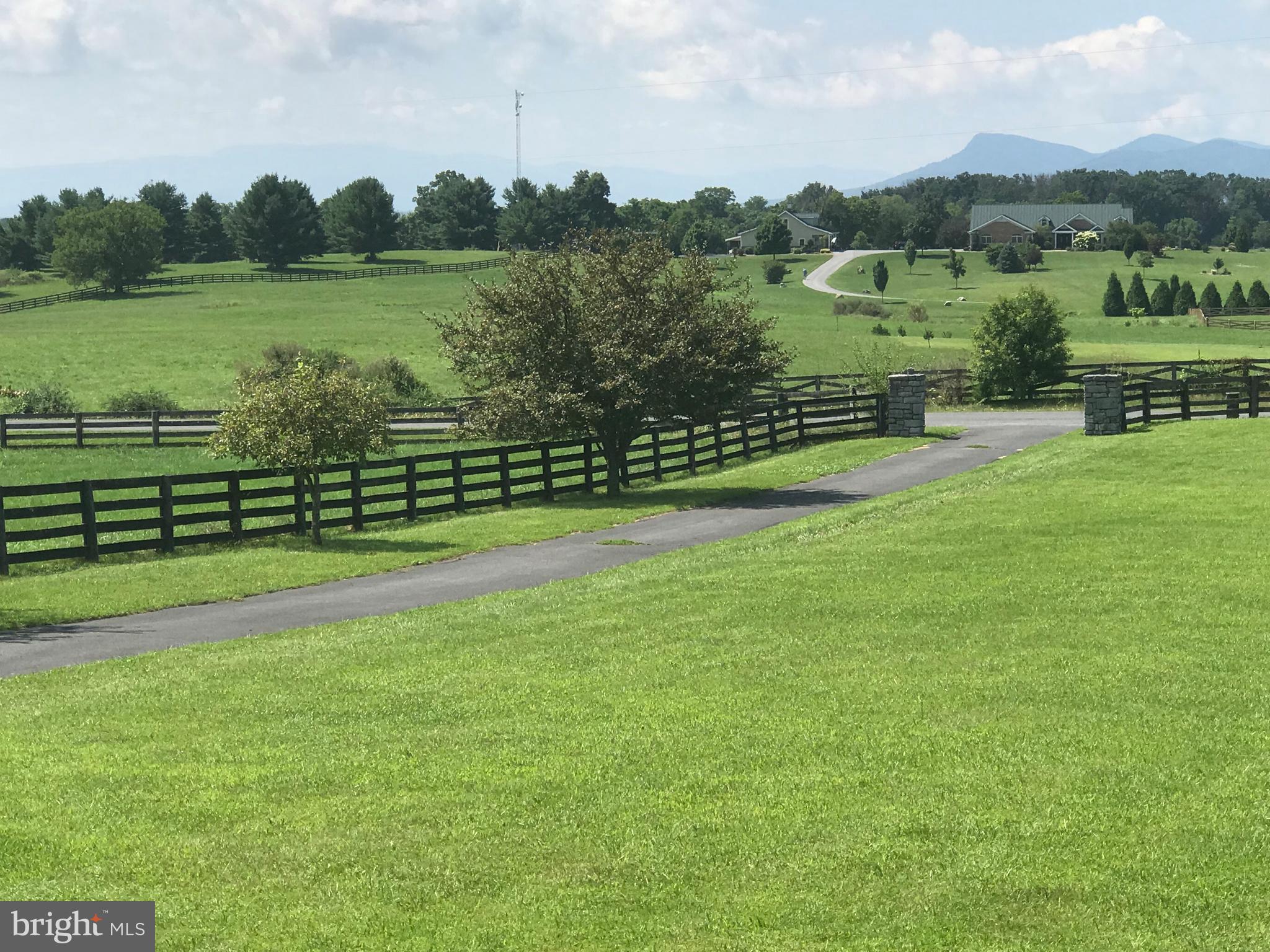 520 Klines Mill Road Middletown, VA 22645 - Photo 4 of 30 BREATH TAKING VIEW from FRONT PORCH!!