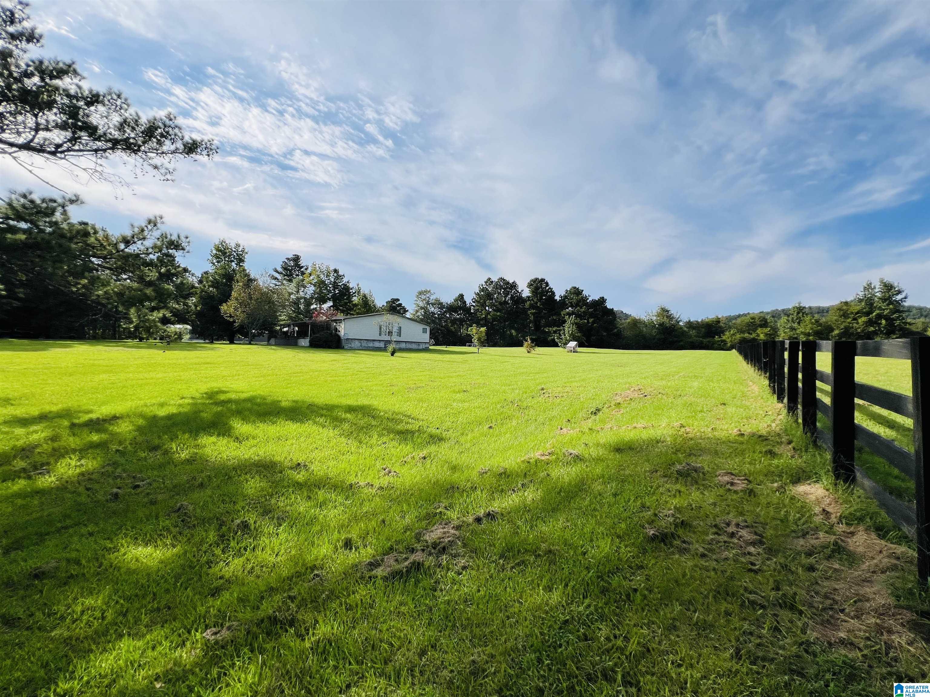 70 Armstrong Road Ashville, AL 35953 - Photo 12 of 67