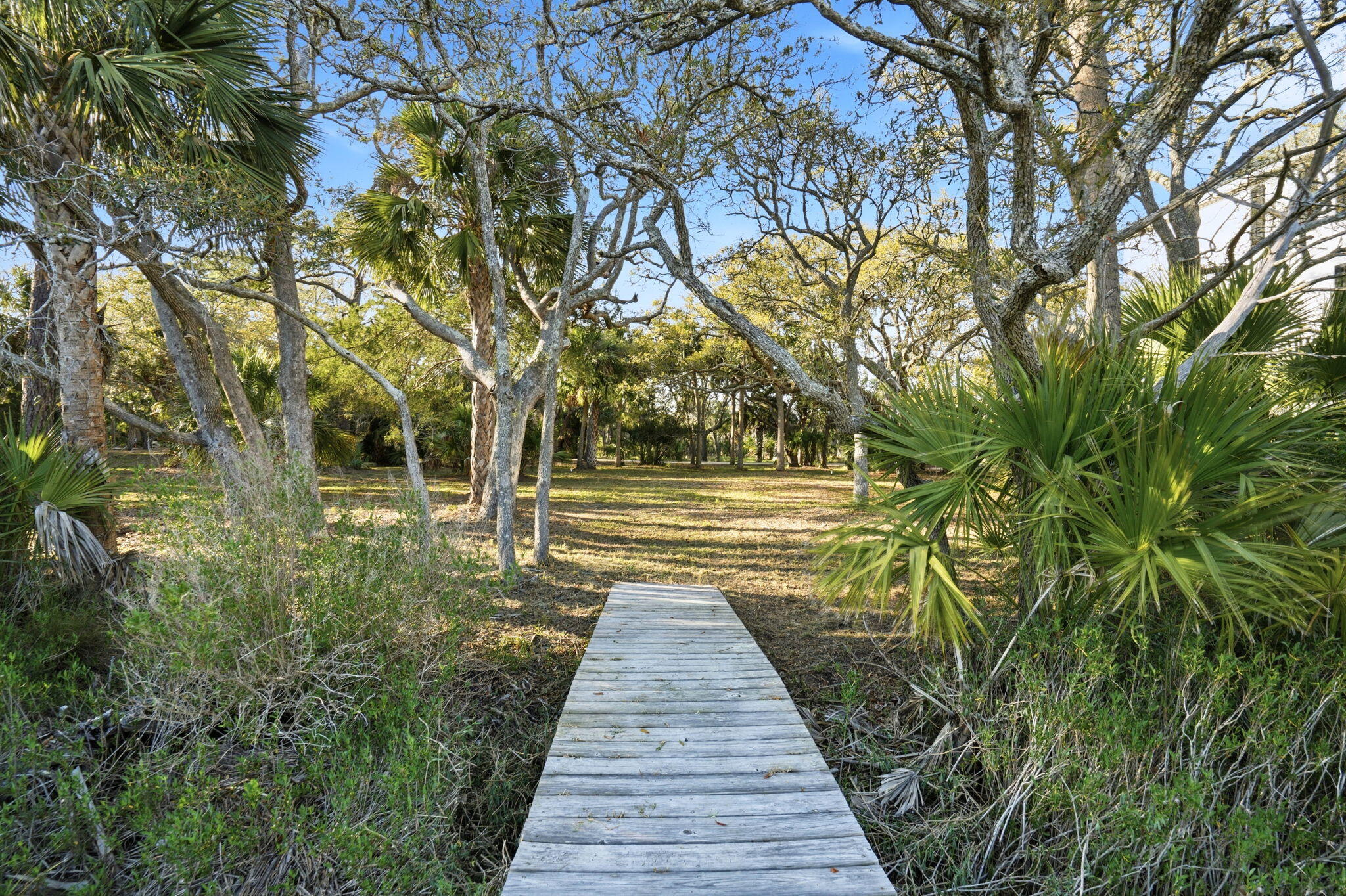 0 Hammocks Way Edisto Island, SC 29438 - Photo 11 of 40 54-web-or-mls-059_DSC06805
