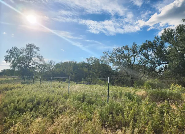a view of a lake from a yard