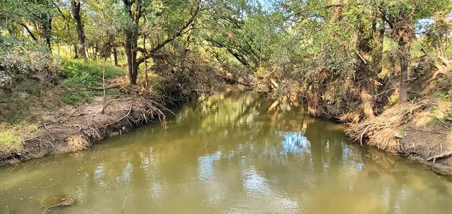 a view of lake with green space