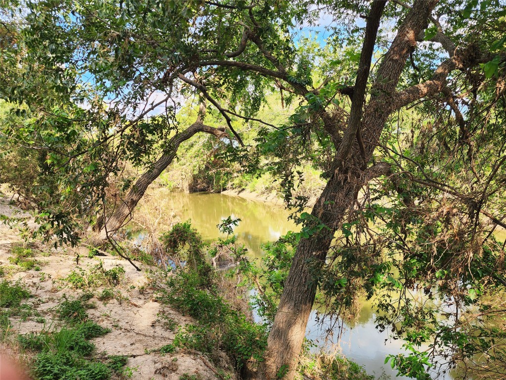 Tbd Tbd 1480th San Saba, TX 76877 - Photo 8 of 29 a view of tree
