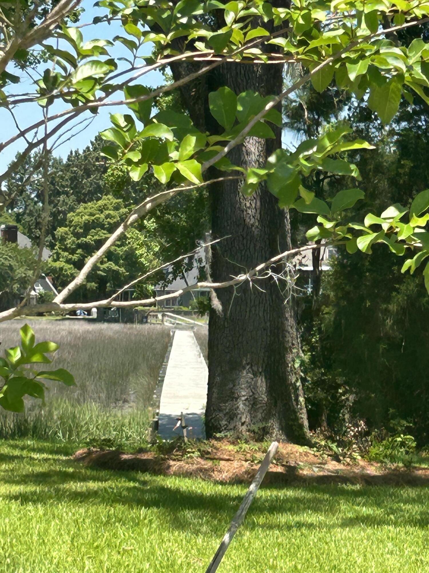 2349 Town Woods Road Charleston, SC 29414 - Photo 5 of 7 IMG_1539