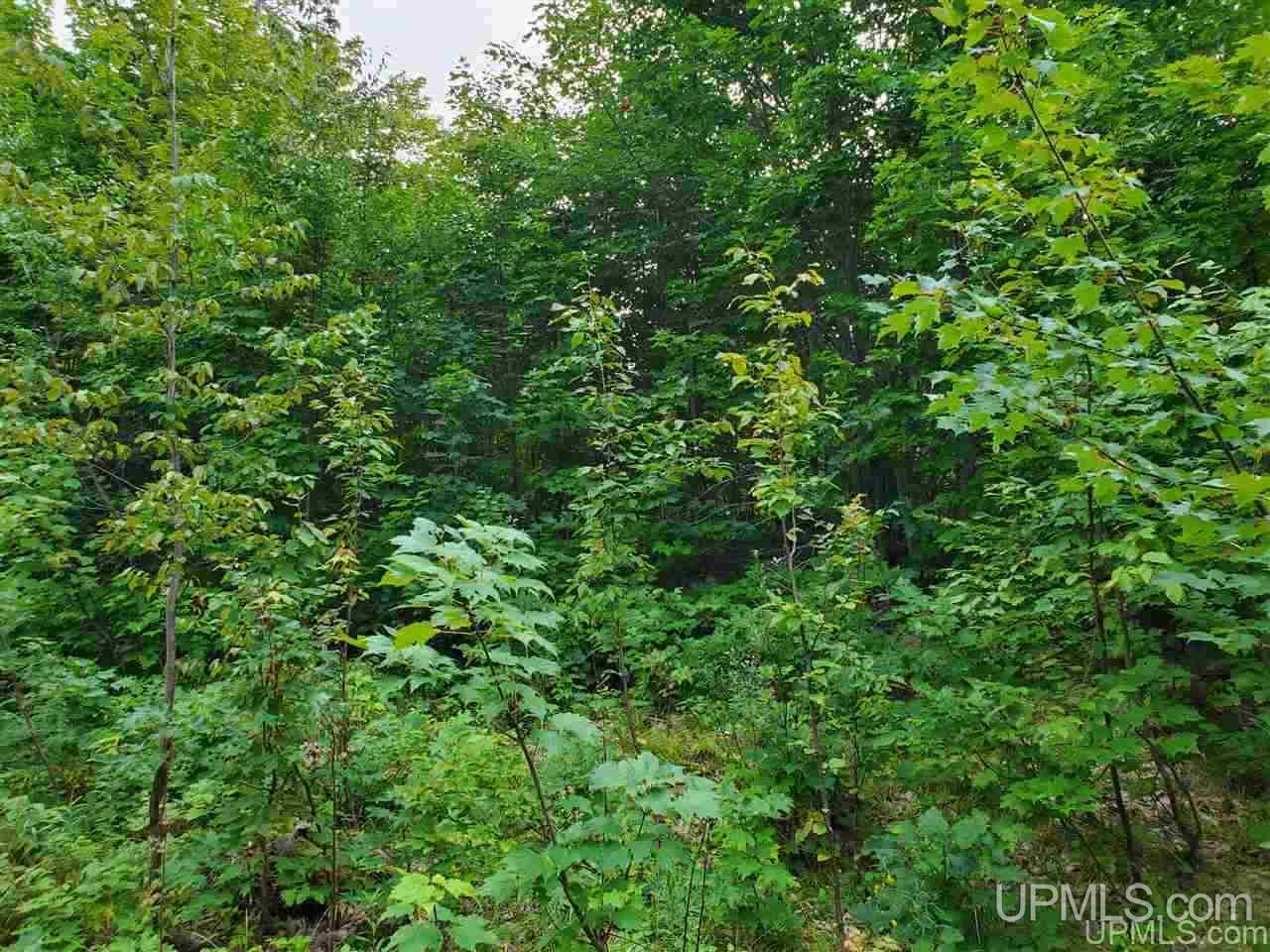 Tbd Tbd Holyoak Negaunee, MI 49866 - Photo 4 of 10