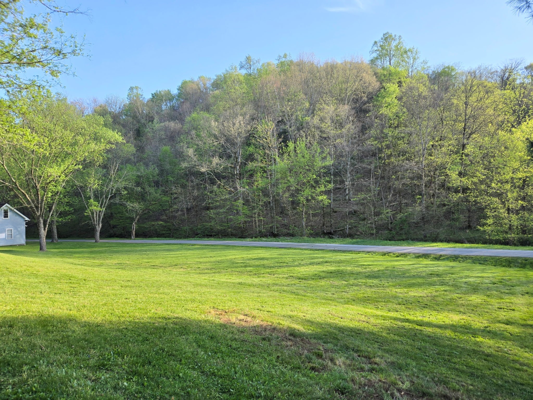 0 Dog Branch Road South Pleasant Shade, TN 37145 - Photo 12 of 14