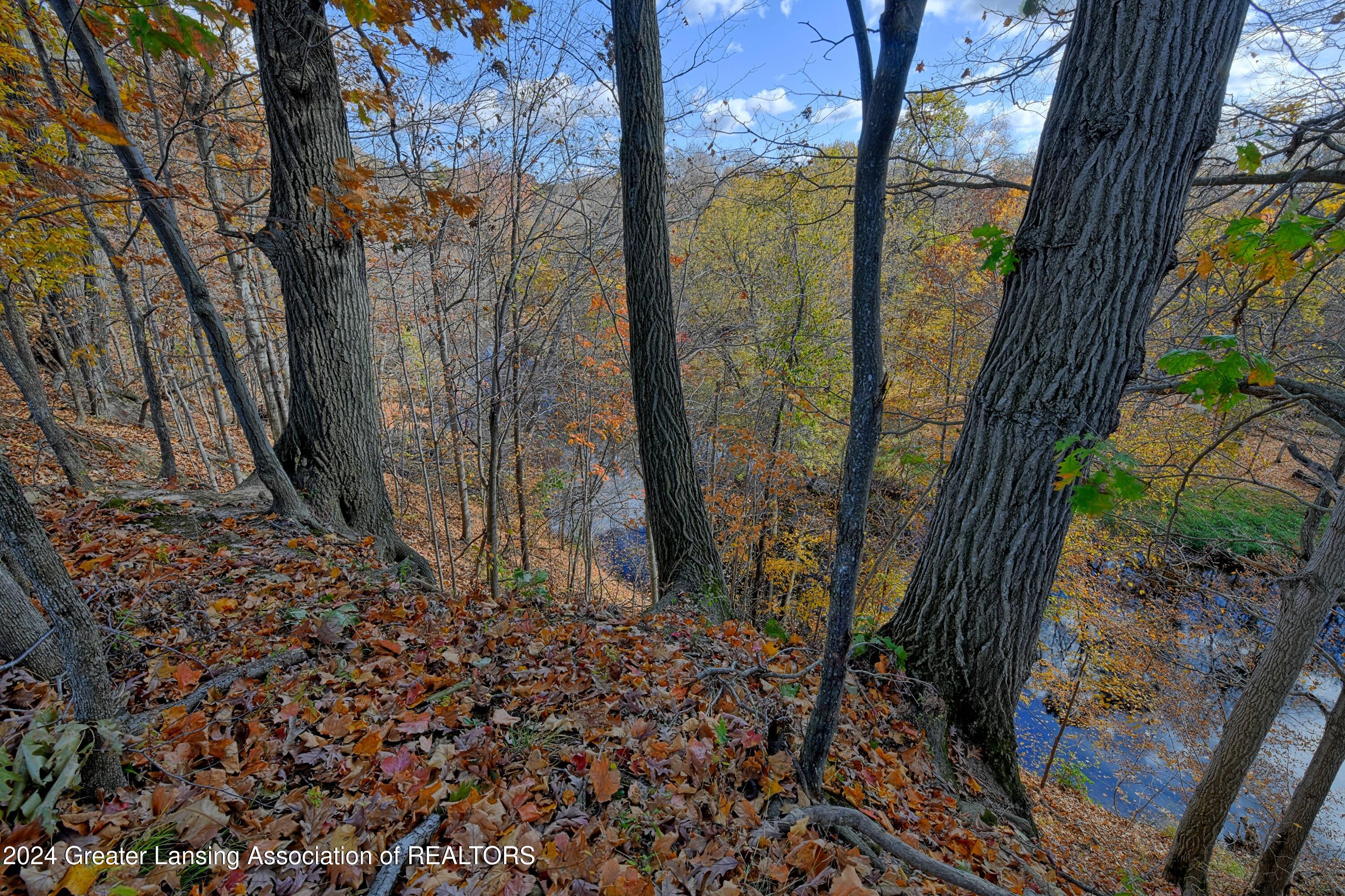 15027 West Cutler Road Portland, MI 48875 - Photo 53 of 65 Views
