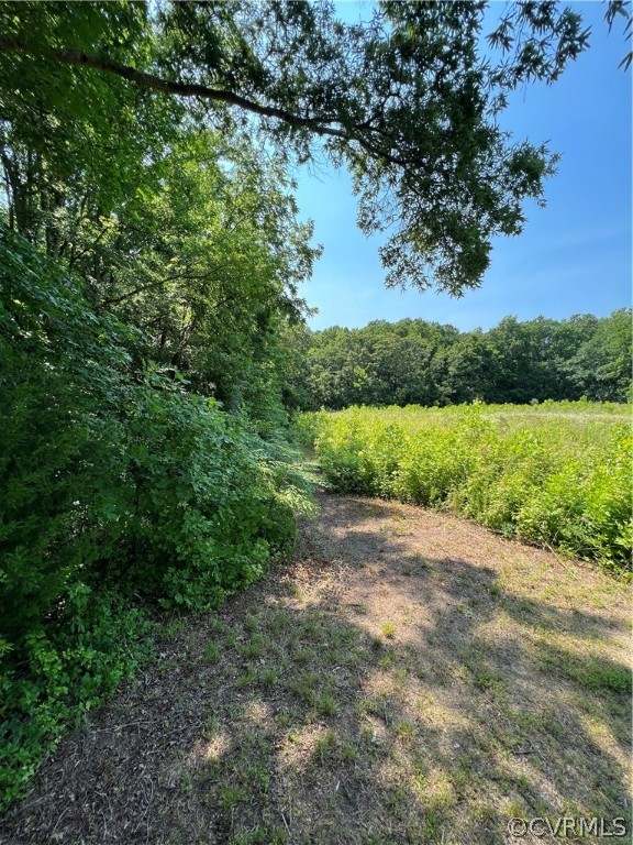0 Fork Bridge Road Milford, VA 22514 - Photo 22 of 46 Gallery Image 22