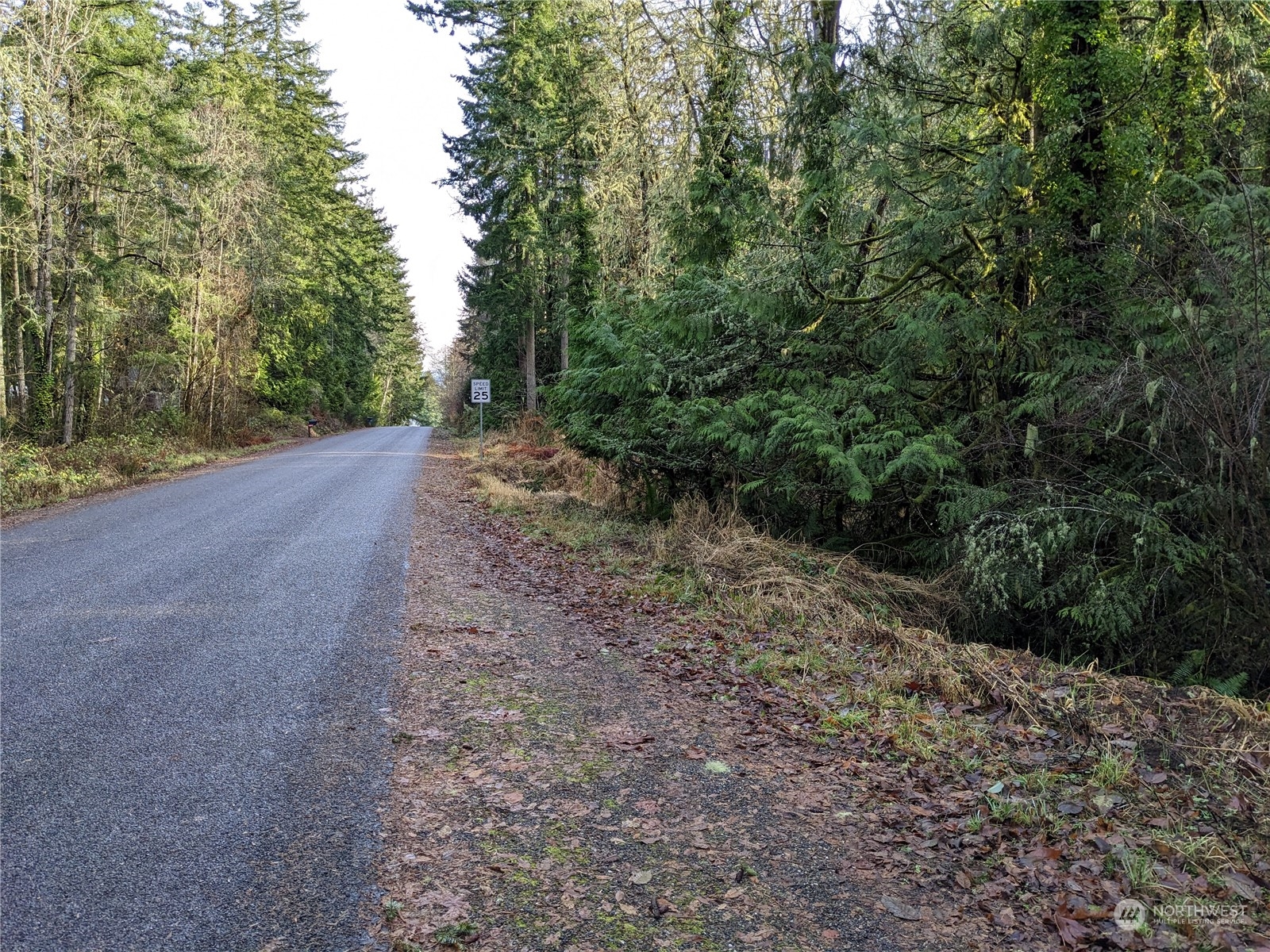 0 72nd Street Southwest Longbranch, WA 98351 - Photo 1 of 20 a view of a yard with trees in the background