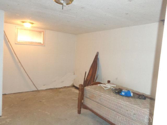 70 Cedar Bottom Road Natural Bridge Station, VA 24579 - Photo 10 of 14 Basement Bedroom