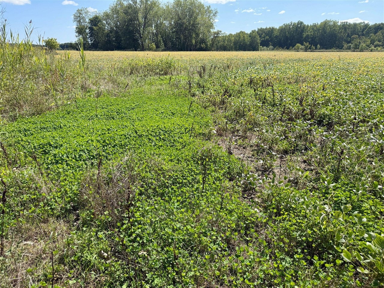 V/l Cade Road Capac, MI 48014 - Photo 32 of 43 Gallery Image 32