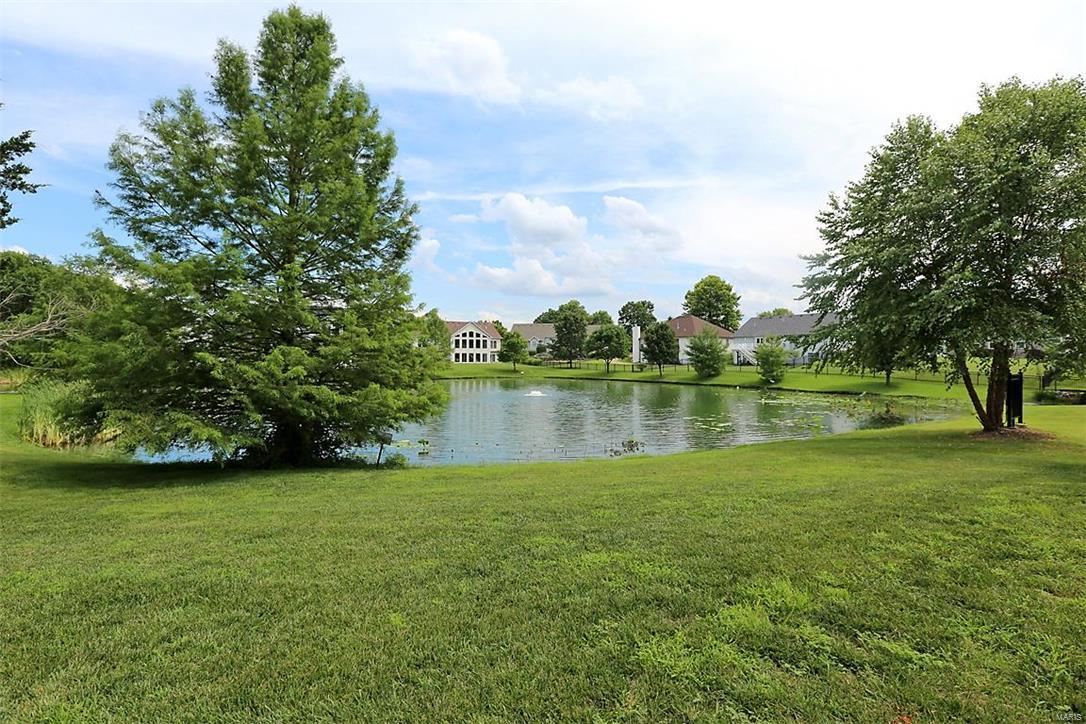 6058 Kerth Road St. Louis, MO 63128 - Photo 40 of 41