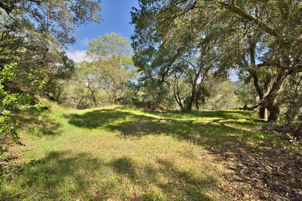 15805 Uvas Road Morgan Hill, CA 95037 - Photo 8 of 41 a view of yard with green space