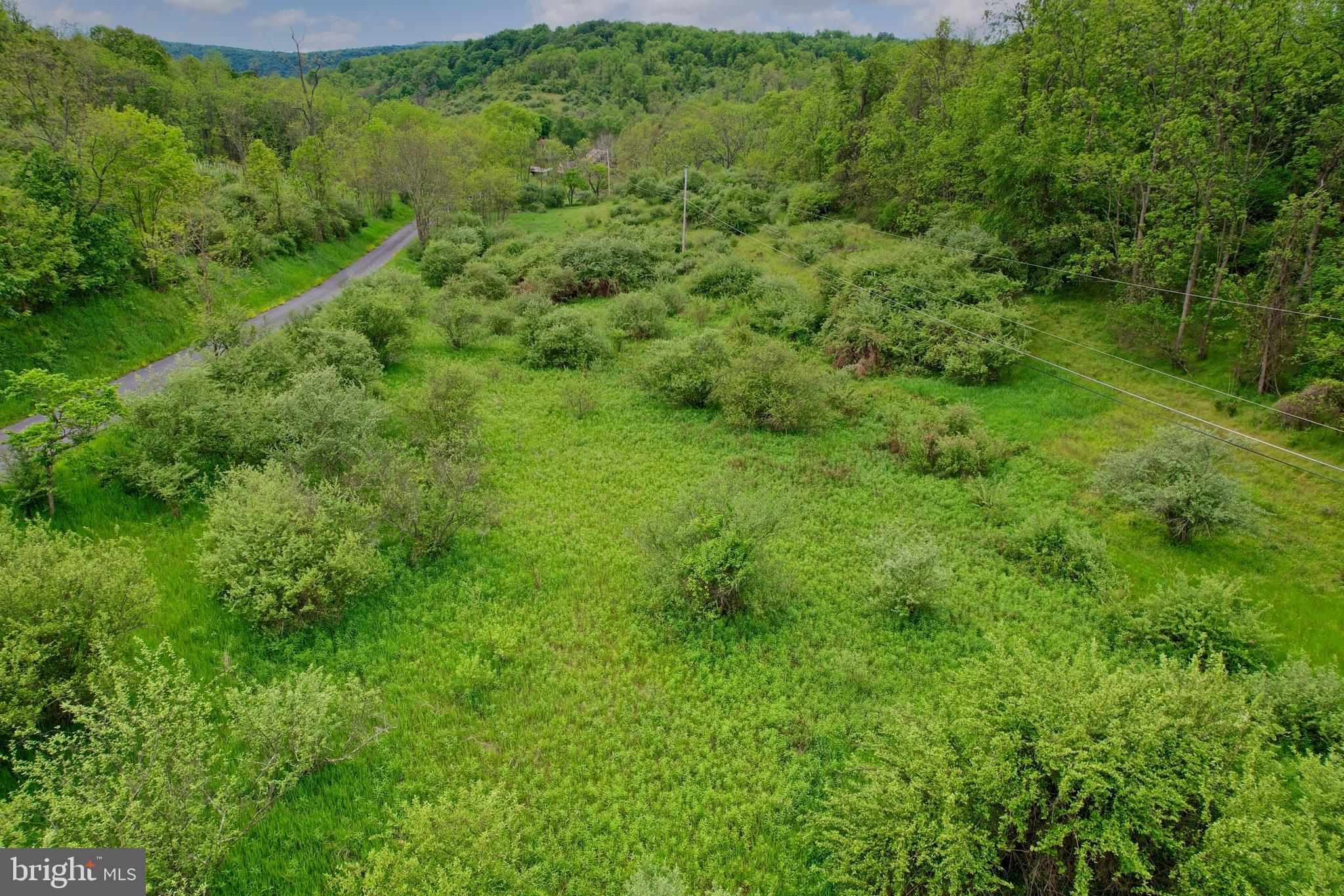 Old Williams Road Southeast Flintstone, MD 21530 - Photo 10 of 17