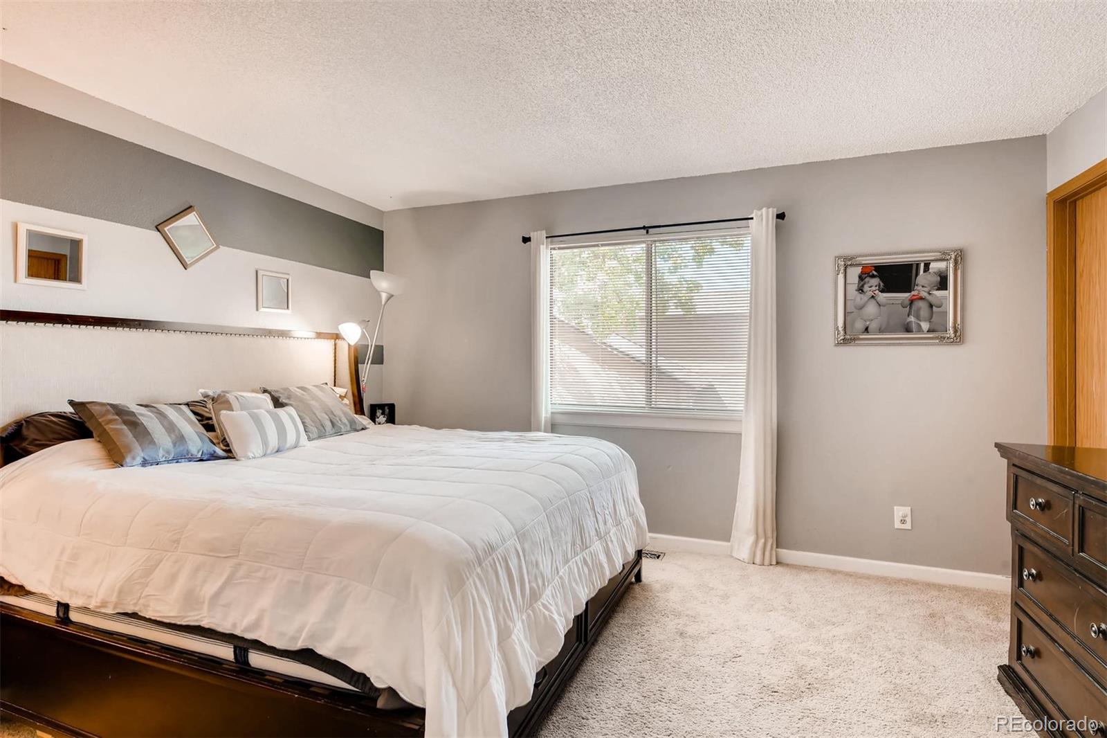 9611 Pendleton Drive Highlands Ranch, CO 80126 - Photo 15 of 28