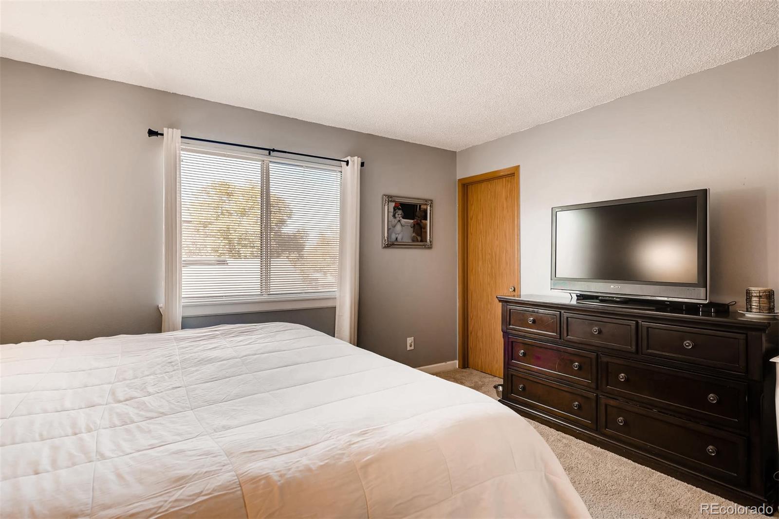 9611 Pendleton Drive Highlands Ranch, CO 80126 - Photo 16 of 28