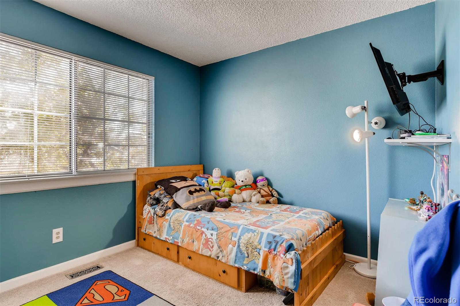 9611 Pendleton Drive Highlands Ranch, CO 80126 - Photo 20 of 28