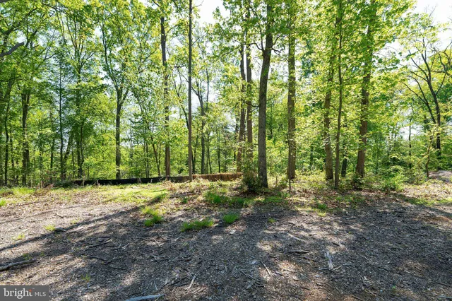 $1,950,000 | 1000 Manning Street, Great Falls, VA 22066