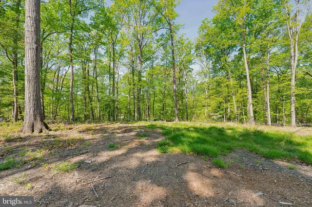 $1,950,000 | 1000 Manning Street, Great Falls, VA 22066