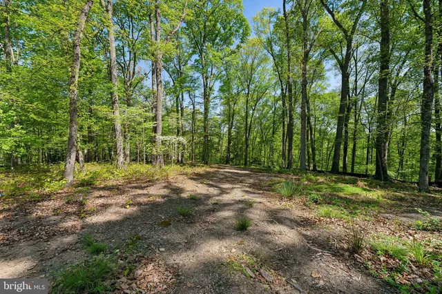 $1,950,000 | 1000 Manning Street, Great Falls, VA 22066