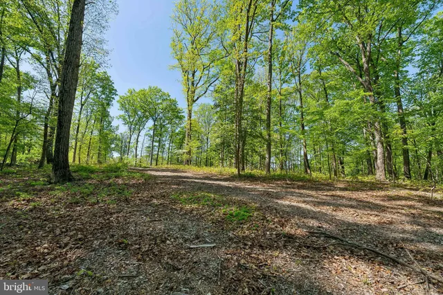 $1,950,000 | 1000 Manning Street, Great Falls, VA 22066