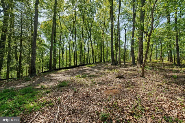 $1,950,000 | 1000 Manning Street, Great Falls, VA 22066