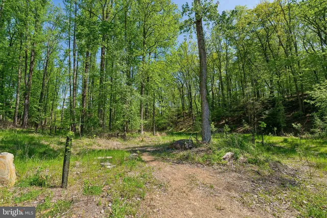 $1,950,000 | 1000 Manning Street, Great Falls, VA 22066