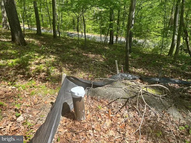 $1,950,000 | 1000 Manning Street, Great Falls, VA 22066