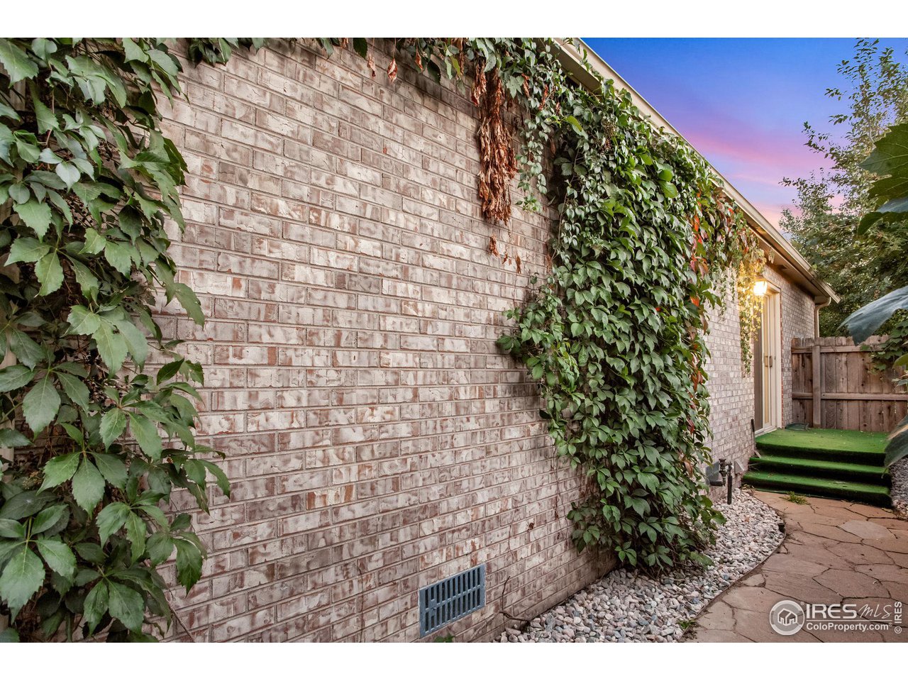 60 Lodgepole Drive Windsor, CO 80550 - Photo 22 of 27 a view of a backyard