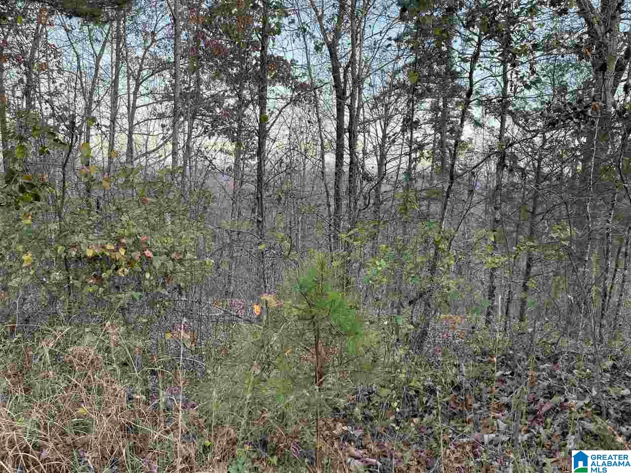 7931 Goodner Mountain Road Trussville, AL 35173 - Photo 3 of 20