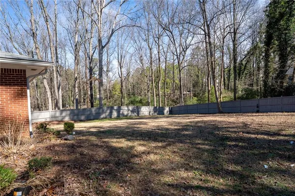 a view of a yard with a large tree
